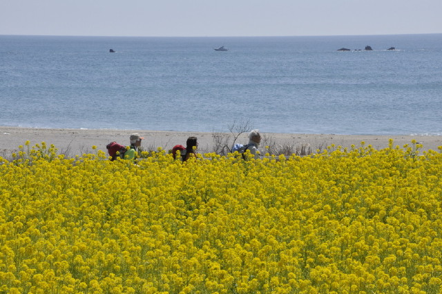 img0009.jpg