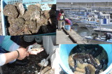 img0012.jpg